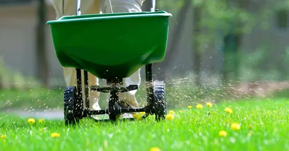 Tips For Mowing After Fertilizing