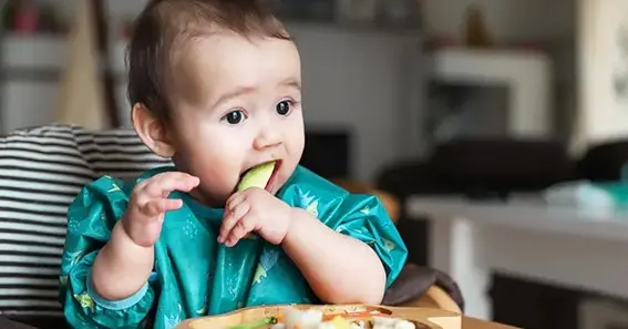 Why Modern Baby Foods are Unhealthy